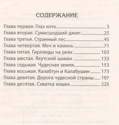 Фотография книги "Эльвира Вашкевич: Око конкистадора"
