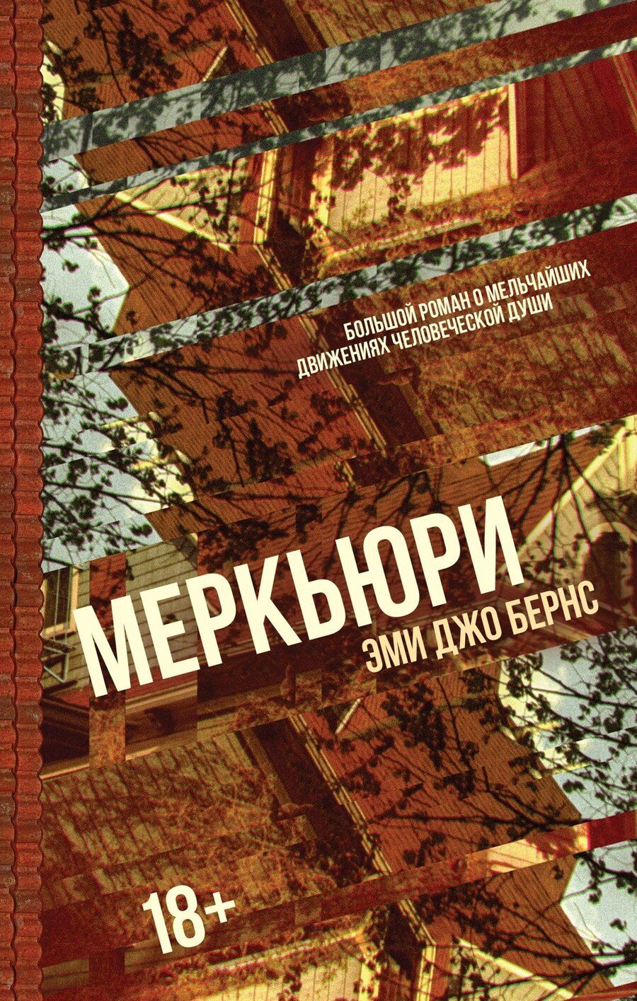 Обложка книги "Эми Джо: Меркьюри"