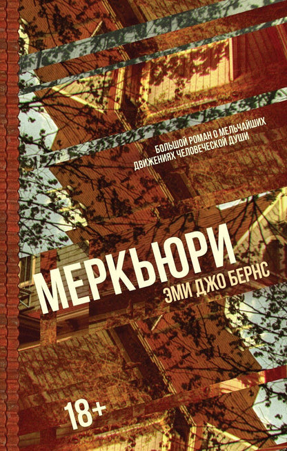 Обложка книги "Эми Джо: Меркьюри"