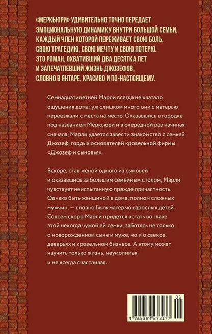 Фотография книги "Эми Джо: Меркьюри"
