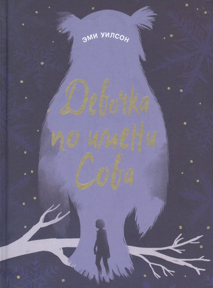 Обложка книги "Эми Уилсон: Девочка по имени Сова"