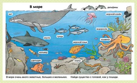 Фотография книги "Эмили Бомон: Природа"