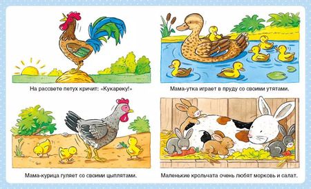 Фотография книги "Эмили Бомон: Животные"