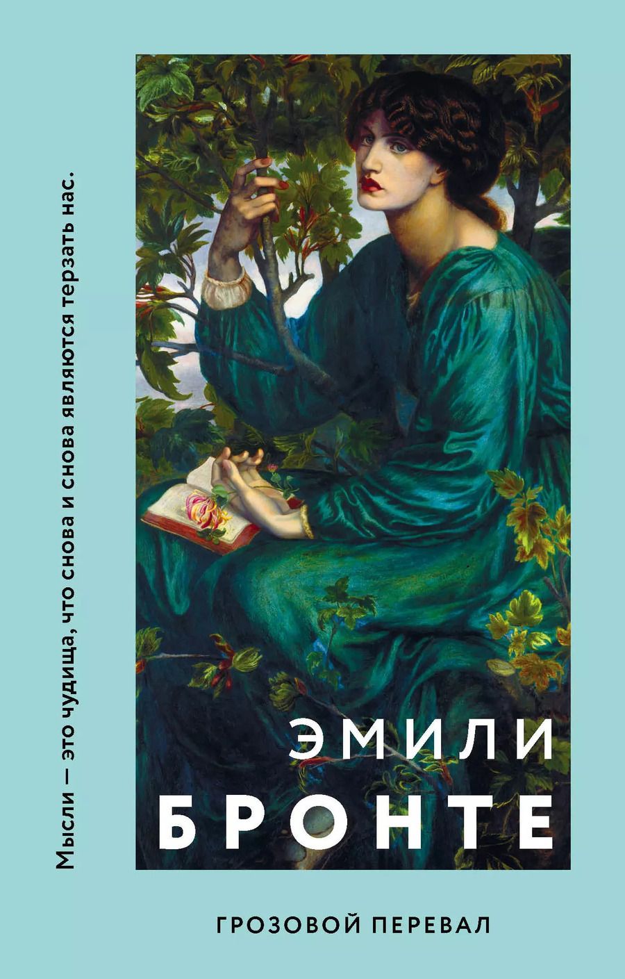 Обложка книги "Эмили Джейн: Грозовой перевал"