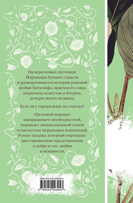 Фотография книги "Эмили Джейн: Грозовой перевал"
