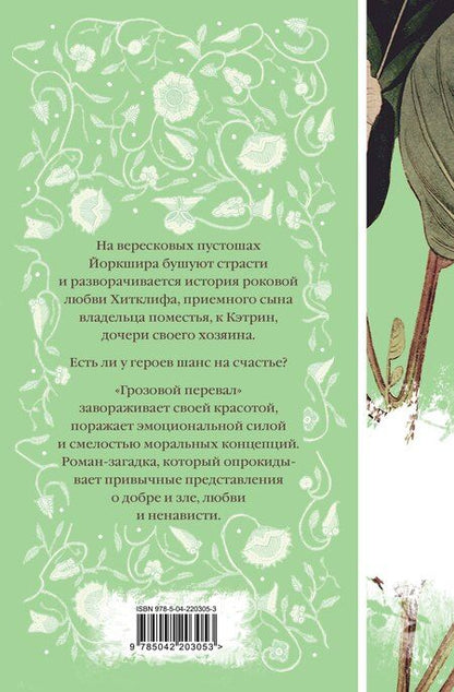 Фотография книги "Эмили Джейн: Грозовой перевал"