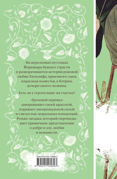 Фотография книги "Эмили Джейн: Грозовой перевал"
