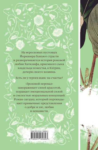 Фотография книги "Эмили Джейн: Грозовой перевал"