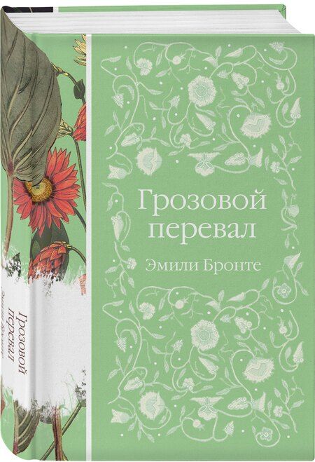 Фотография книги "Эмили Джейн: Грозовой перевал"