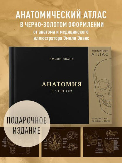 Фотография книги "Эмили Эванс: Анатомия в черном. Медицинский атлас для любителей роскоши и стиля"