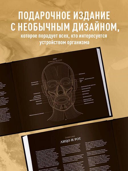 Фотография книги "Эмили Эванс: Анатомия в черном. Медицинский атлас для любителей роскоши и стиля"