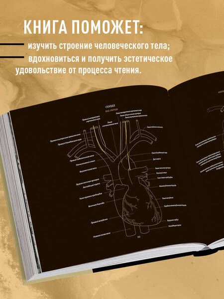 Фотография книги "Эмили Эванс: Анатомия в черном. Медицинский атлас для любителей роскоши и стиля"