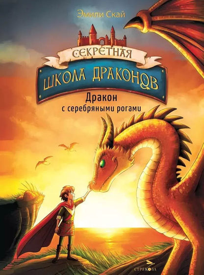 Обложка книги "Эмили Скай: Дракон с серебряными рогами. Книга 2"