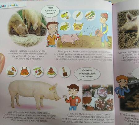 Фотография книги "Эммануэль Лепти: На ферме"