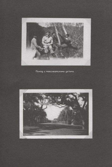 Фотография книги "Эмманюэль Гибер: Война Алана. Из воспоминаний Алана Инграма Коупа"