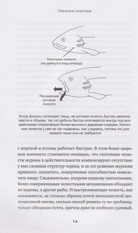 Фотография книги "Энди Добсон: Ошибки природы: Пределы и несовершенство естественного отбора"