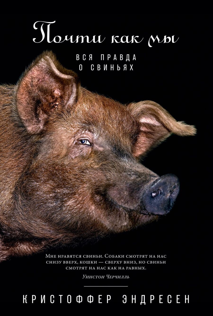 Обложка книги "Эндресен: Почти как мы: Вся правда о свиньях"