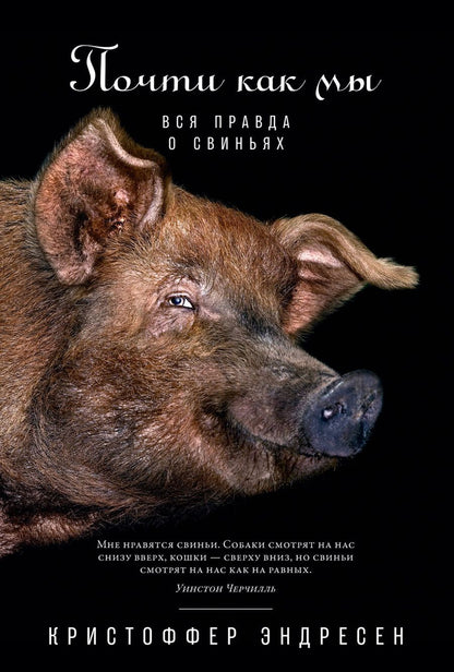 Обложка книги "Эндресен: Почти как мы: Вся правда о свиньях"