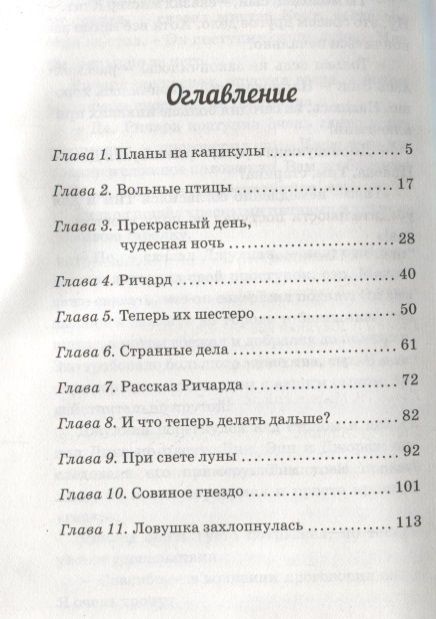 Фотография книги "Энид Блайтон: Побег из Совиного гнезда : приключенческая повесть. Книга 8"