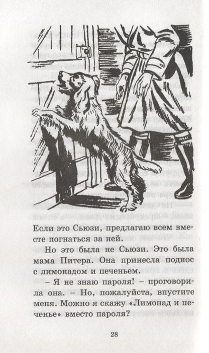 Фотография книги "Энид Блайтон: Странная кража"