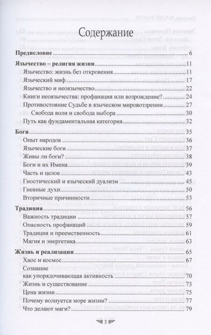 Фотография книги "Энмеркар: Магия Жизни. Традиции языческих путей"