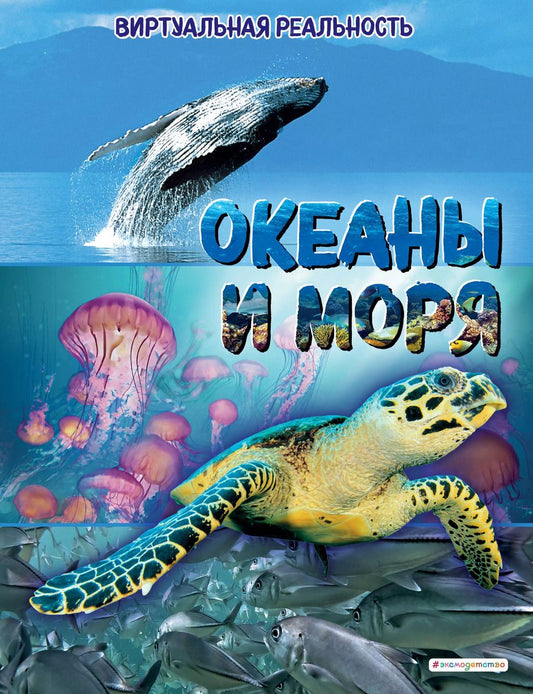 Обложка книги "Энн МакРей: Океаны и моря. Виртуальная реальность"