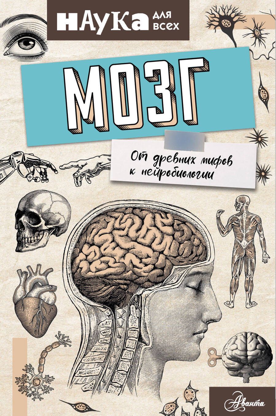 Обложка книги "Энн Руни: Мозг. От древних мифов к нейробиологии"