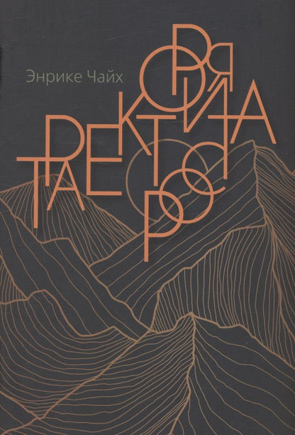 Обложка книги "Энрике Чайх: Траектория роста"