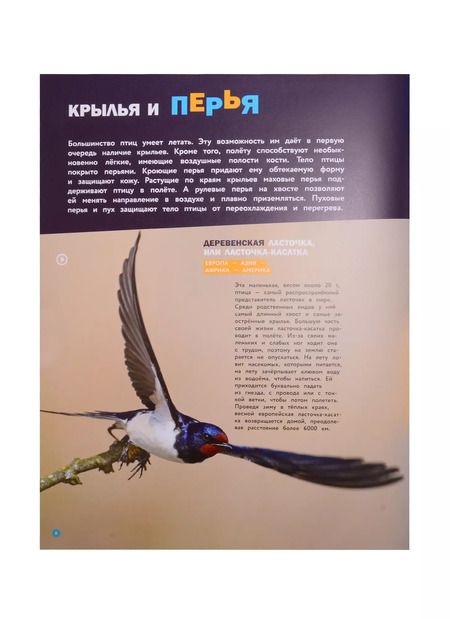 Фотография книги "Энциклопедии c фото и видео приложениями. Птицы"