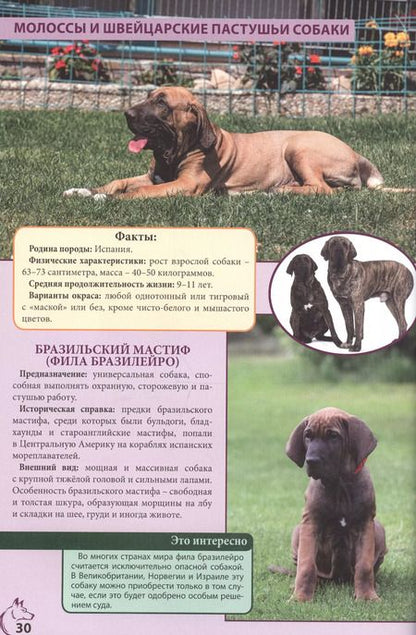 Фотография книги "ЭНЦИКЛОПЕДИЯ. ЭНЦИКЛОПЕДИЯ О КОШКАХ И СОБАКАХ"