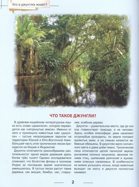 Фотография книги "Энциклопедия для детей кто в джунглях живет?"