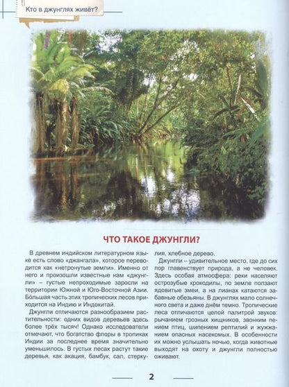 Фотография книги "Энциклопедия для детей кто в джунглях живет?"
