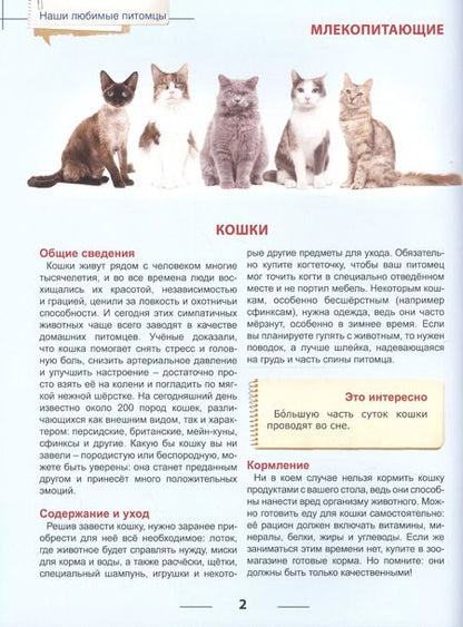 Фотография книги "Энциклопедия для детей наши любимые питомцы"