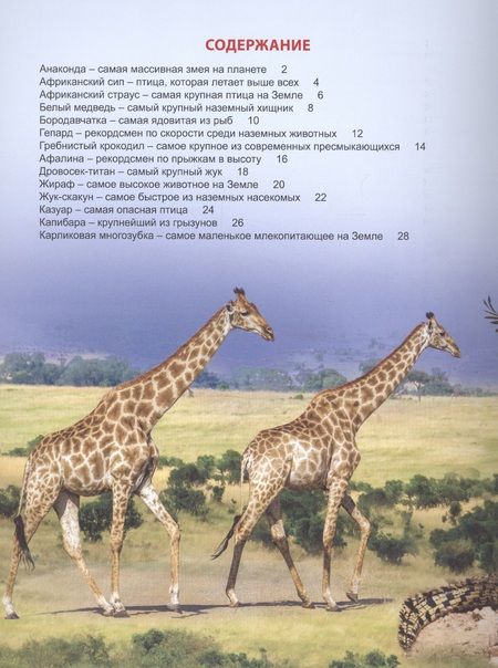 Фотография книги "Энциклопедия для детей рекордсмены животного мира"