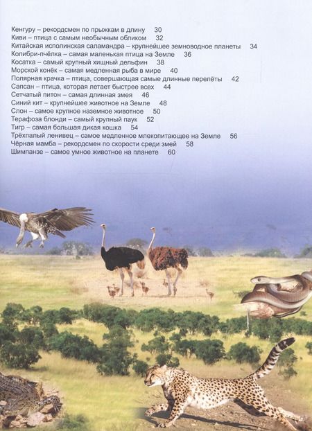 Фотография книги "Энциклопедия для детей рекордсмены животного мира"