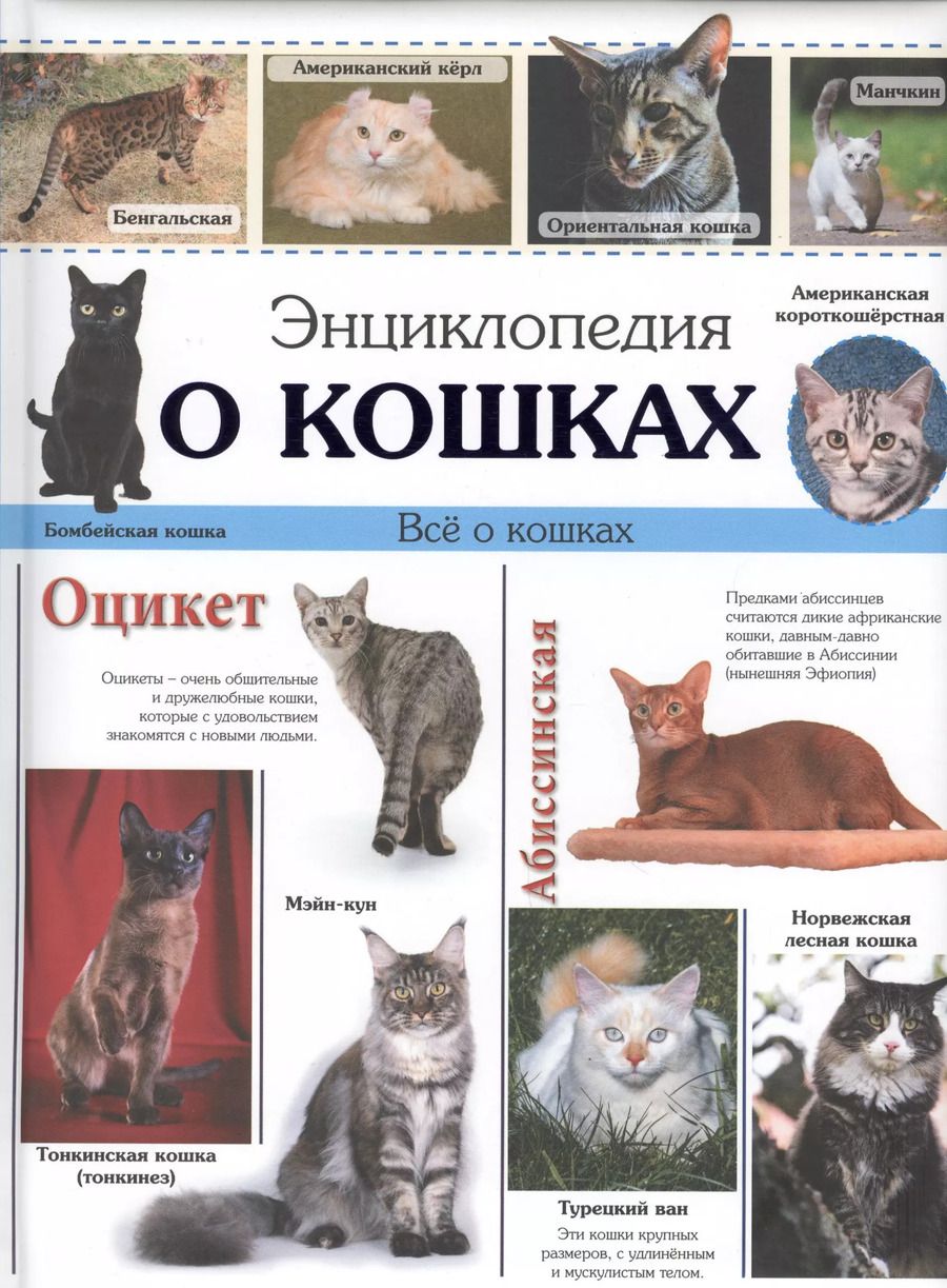 Обложка книги "Энциклопедия о кошках"