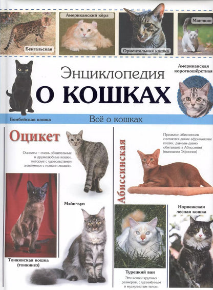Обложка книги "Энциклопедия о кошках"