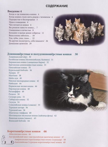 Фотография книги "Энциклопедия о кошках"
