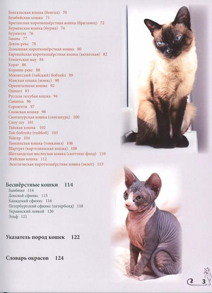 Фотография книги "Энциклопедия о кошках"
