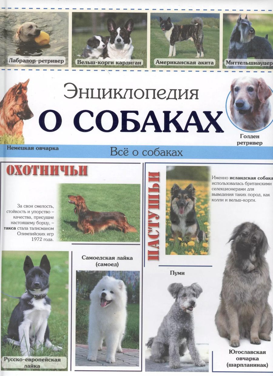 Обложка книги "Энциклопедия о собаках"