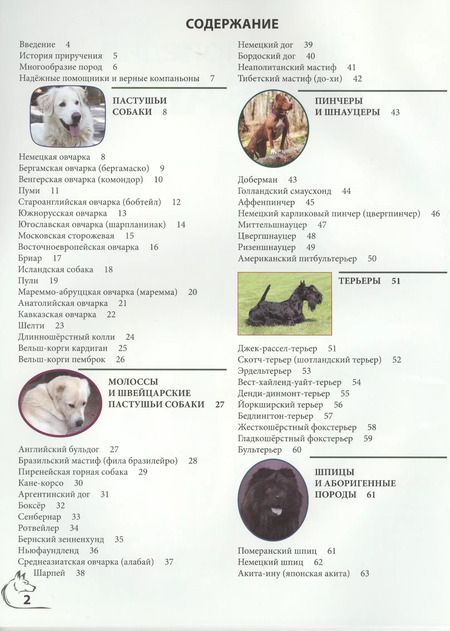 Фотография книги "Энциклопедия о собаках"