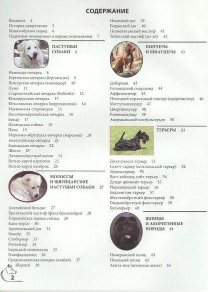 Фотография книги "Энциклопедия о собаках"