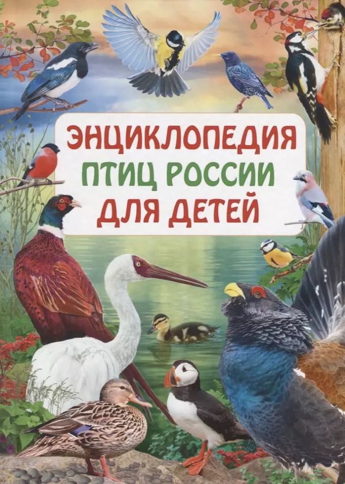 Обложка книги "Энциклопедия птиц России для детей"