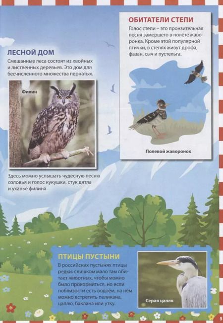 Фотография книги "Энциклопедия птиц России для детей"