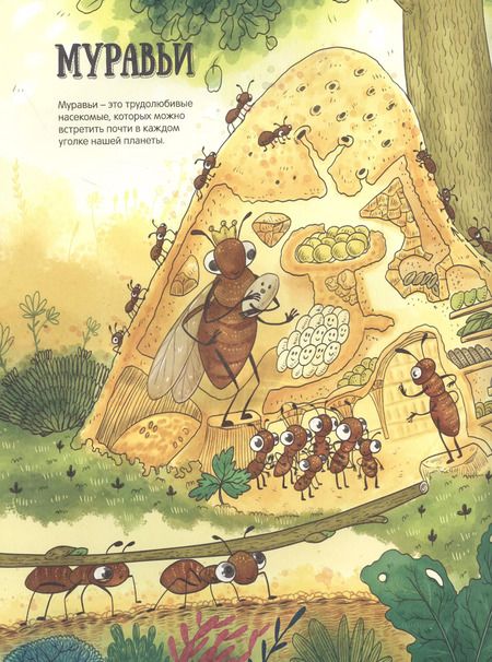 Фотография книги "ЭНЦИКЛОПЕДИЯ В КАРТИНКАХ. НЕОБЫЧНЫЙ МИР НАСЕКОМЫХ глянц.ламин. мелов. 215х290"