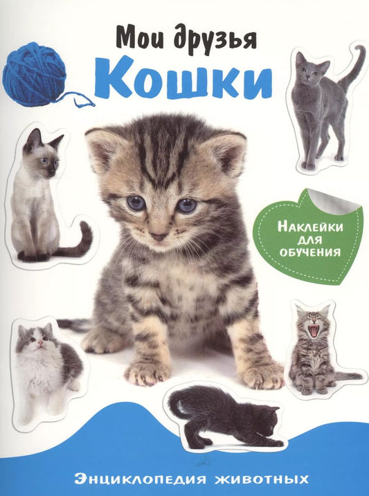 Обложка книги "Энциклопедия животных с накл. Ммои друзья - кошки"