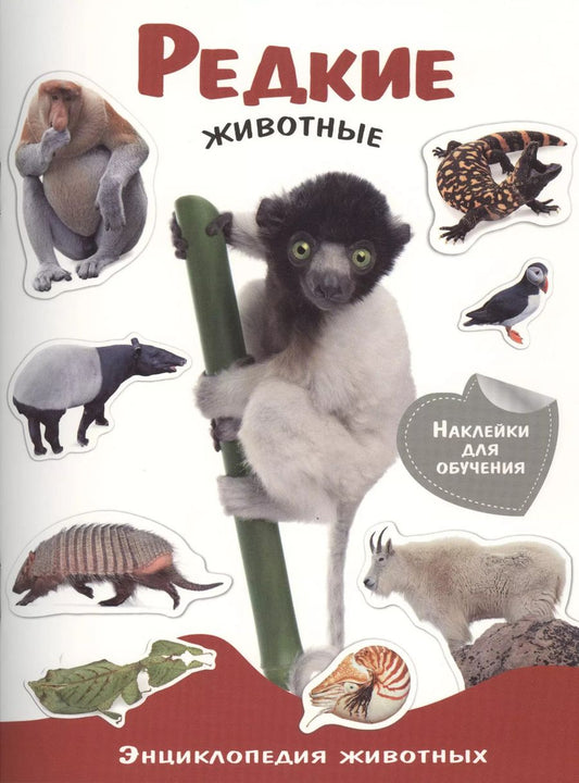 Обложка книги "Энциклопедия животных с накл. Редкие животные"