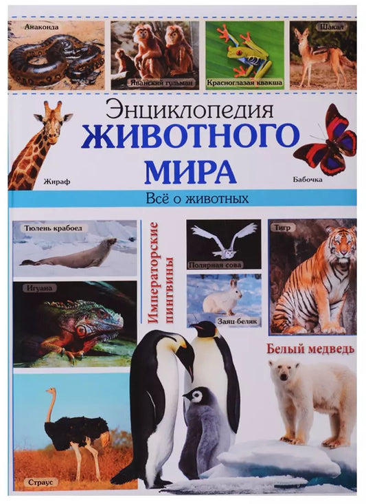 Обложка книги "Энциклопедия животного мира наша"