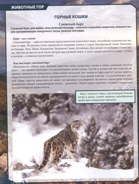 Фотография книги "Энциклопедия животного мира наша"