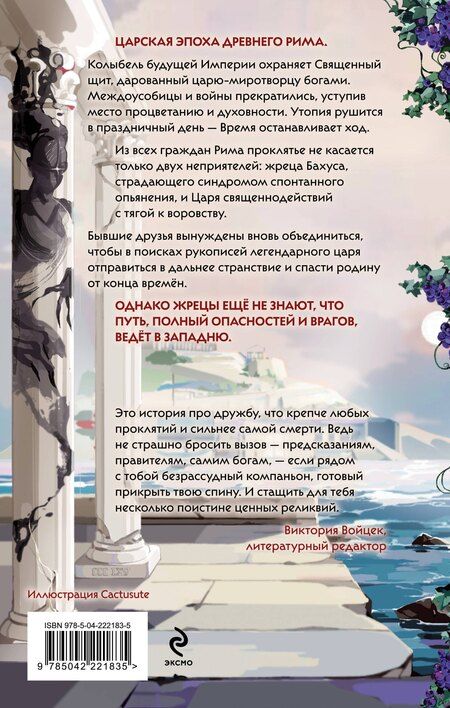 Фотография книги "Эра Думер: Жрец со щитом - царь на щите"